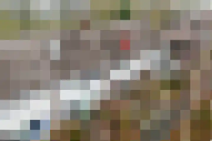 Matsyslaan 20 Heerhugowaard thumbnail 46