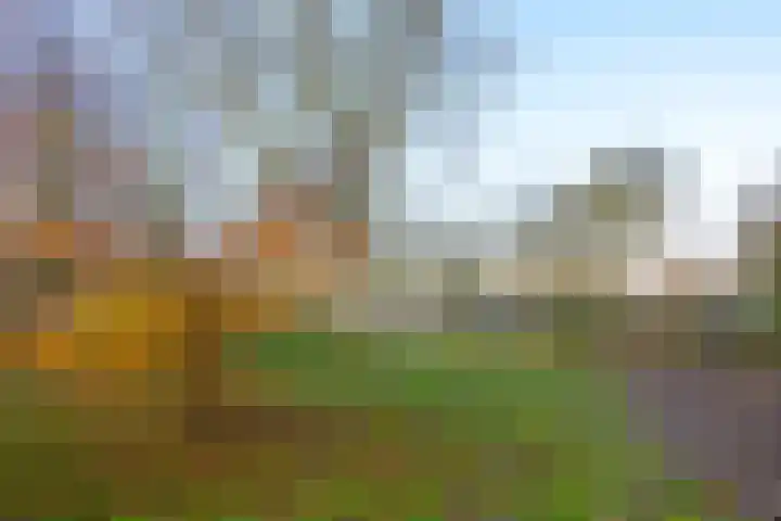 Matsyslaan 30 Heerhugowaard thumbnail 35