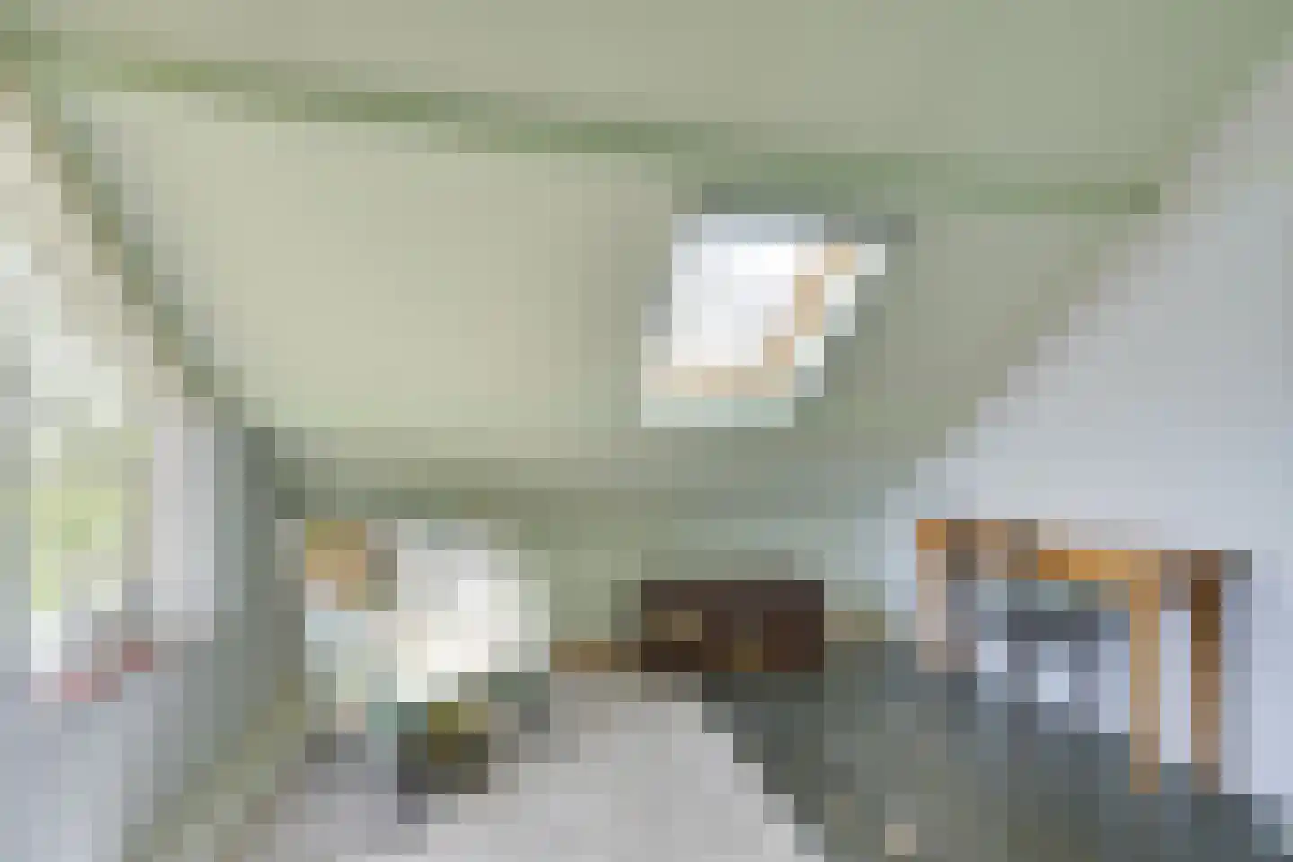 Matsyslaan 32 Heerhugowaard thumbnail 31