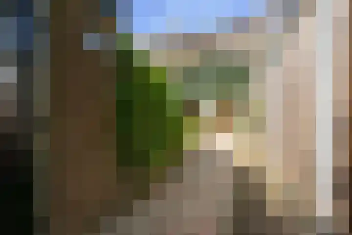Matsyslaan 62 Heerhugowaard thumbnail 12