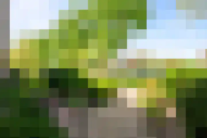 Matsyslaan 62 Heerhugowaard thumbnail 29