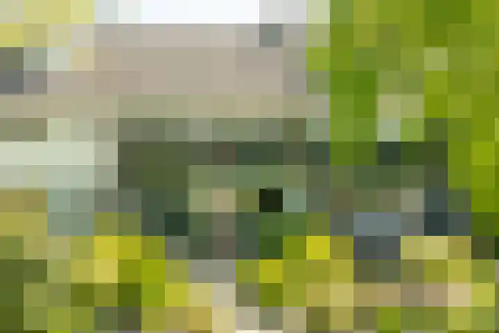 Matsyslaan 62 Heerhugowaard thumbnail 31