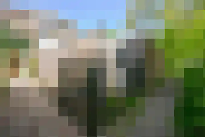 Matsyslaan 62 Heerhugowaard thumbnail 32