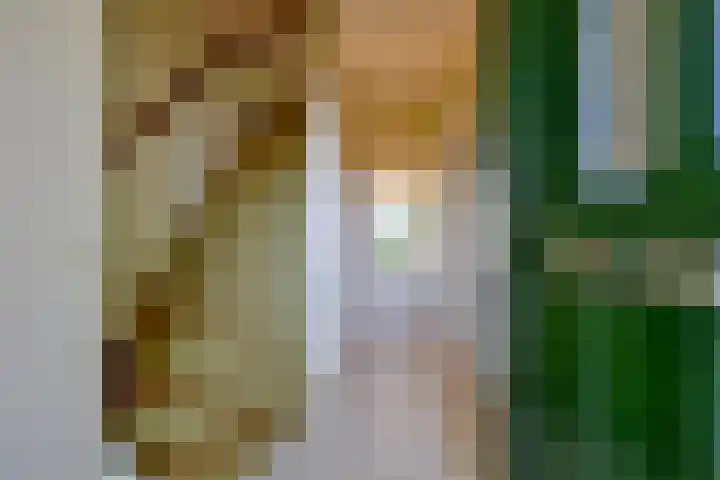 Matsyslaan 62 Heerhugowaard thumbnail 4