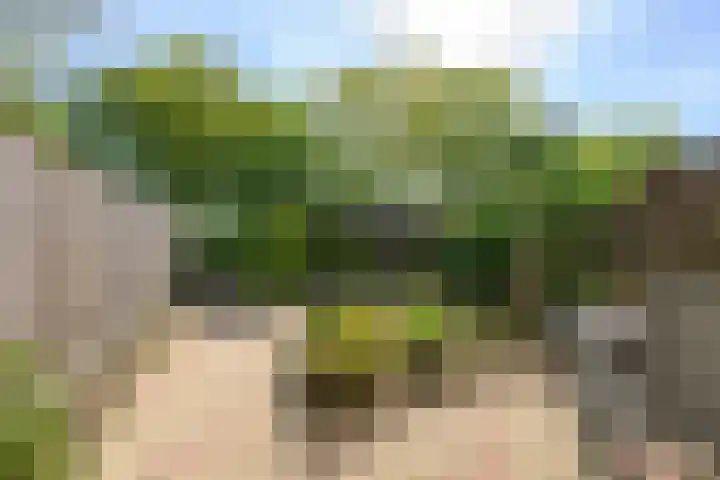 Matsyslaan 62 Heerhugowaard thumbnail 9