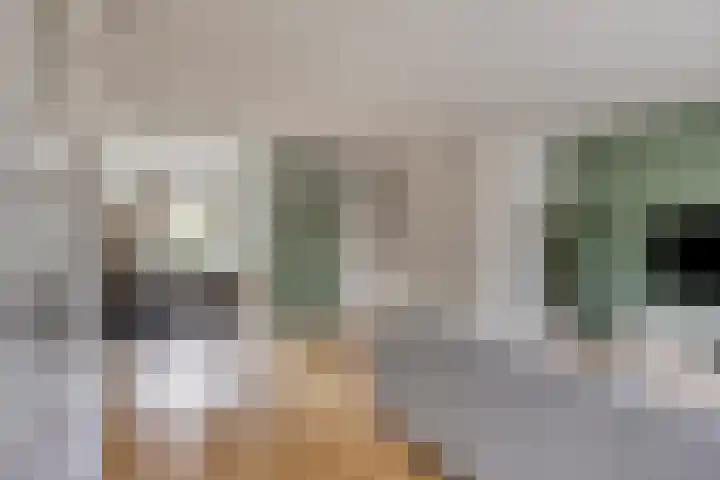 Mattenbies 12 Terheijden thumbnail 11