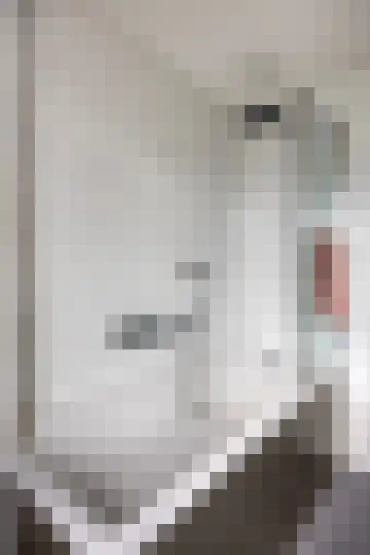 Mattenbies 12 Terheijden thumbnail 24