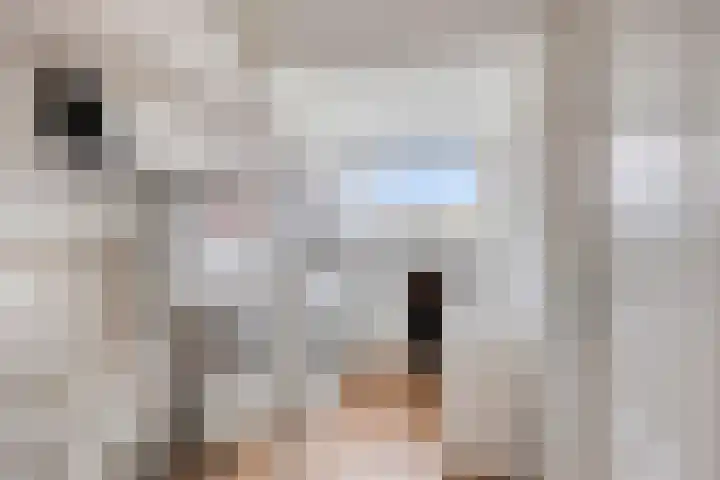 Mattenbies 12 Terheijden thumbnail 27