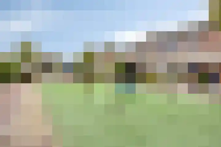 Mattenbies 12 Terheijden thumbnail 33