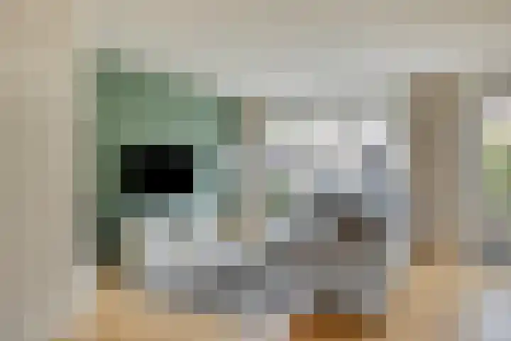 Mattenbies 12 Terheijden thumbnail 9