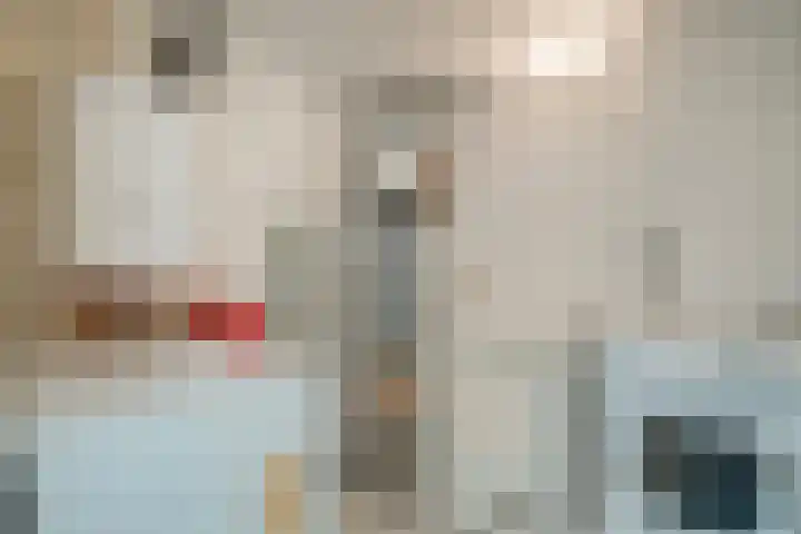 Mattenbies 25 Zwolle thumbnail 27