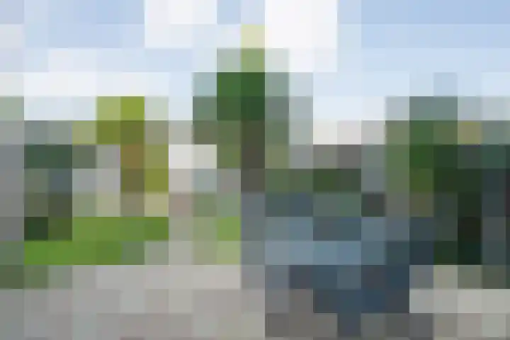 Mattenbies 25 Zwolle thumbnail 28