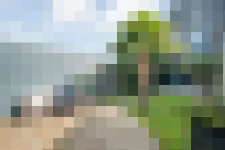 Mattenbies 25 Zwolle thumbnail 31