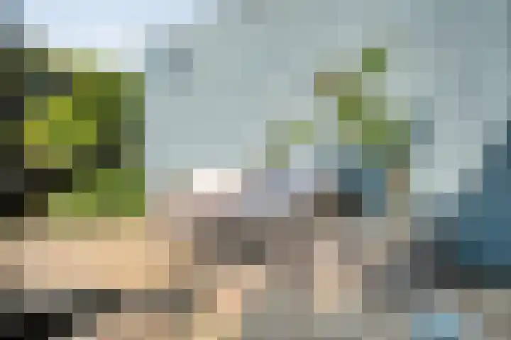 Mattenbies 25 Zwolle thumbnail 32