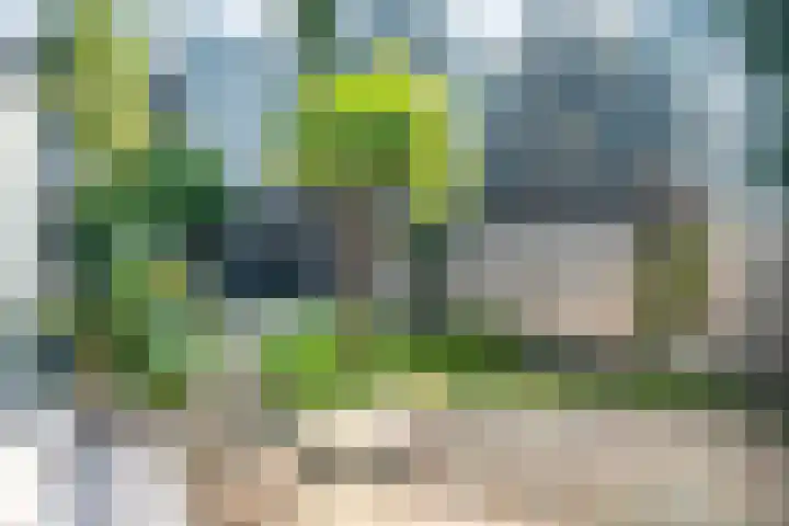 Mattenbies 25 Zwolle thumbnail 33