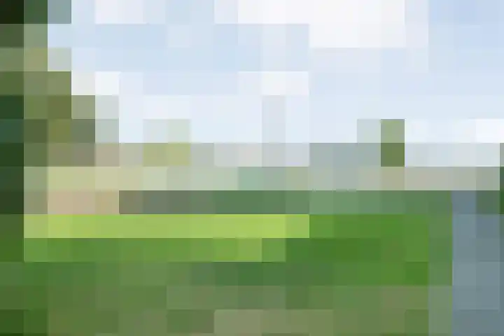 Mattenbies 25 Zwolle thumbnail 35