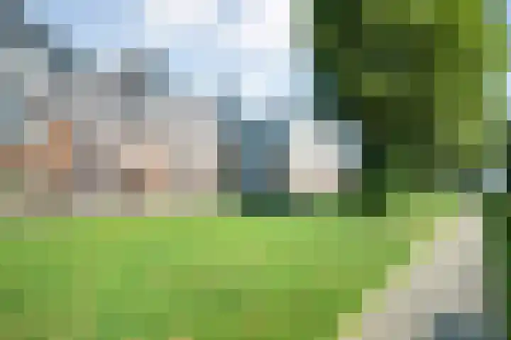 Mattenbies 25 Zwolle thumbnail 36
