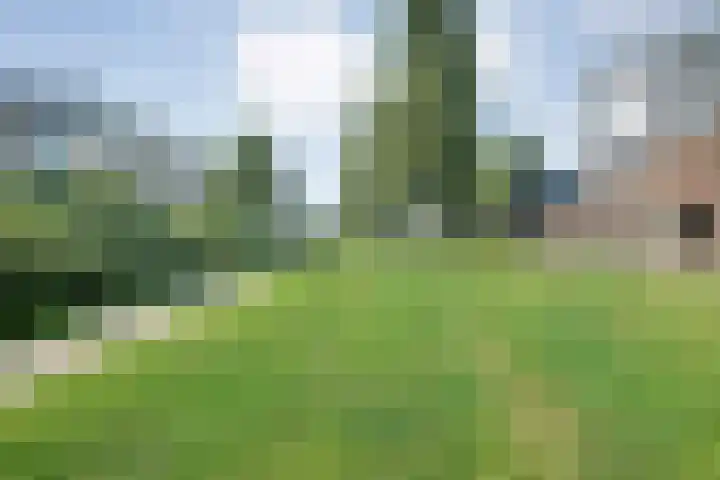 Mattenbies 25 Zwolle thumbnail 37
