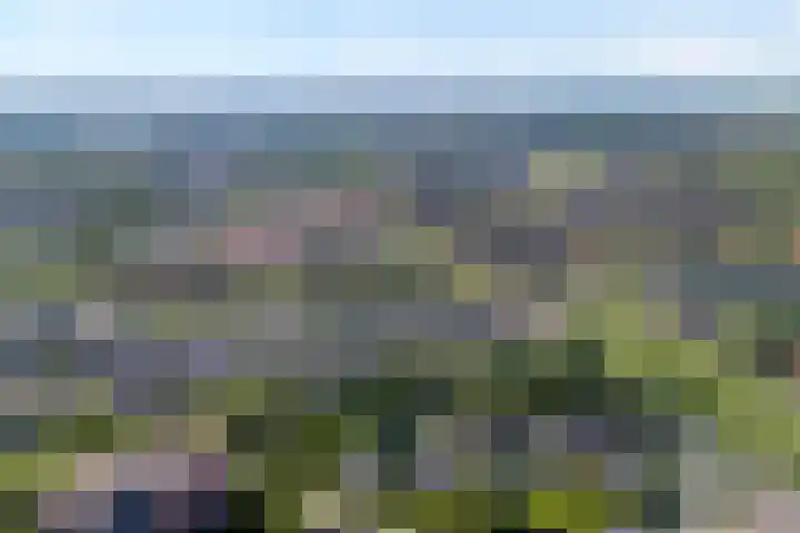 Mattenbies 25 Zwolle thumbnail 40