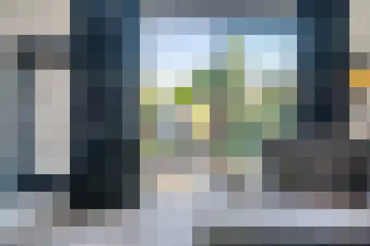 Mattenbies 25 Zwolle thumbnail 5