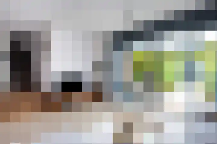Mattenbies 29 Zwolle thumbnail 11