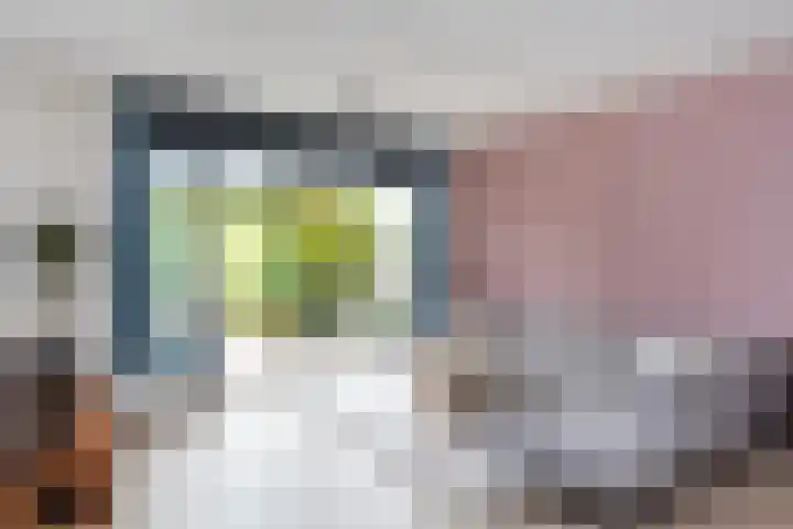 Mattenbies 29 Zwolle thumbnail 12