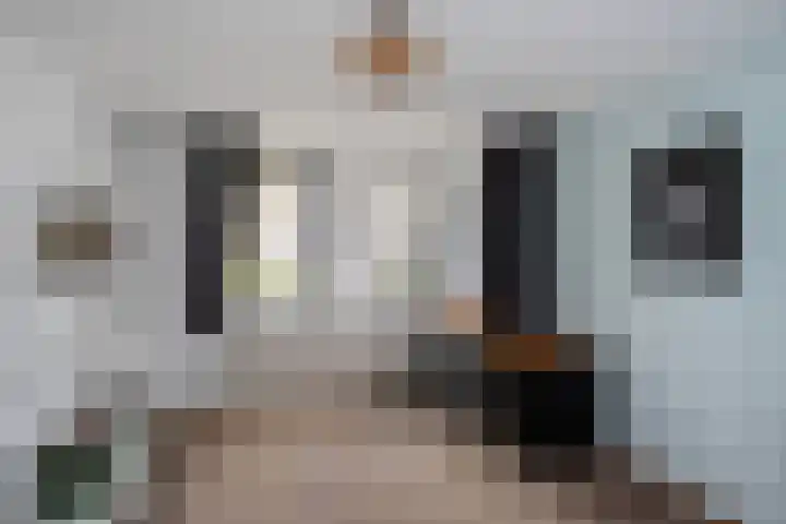 Mattenbies 29 Zwolle thumbnail 16