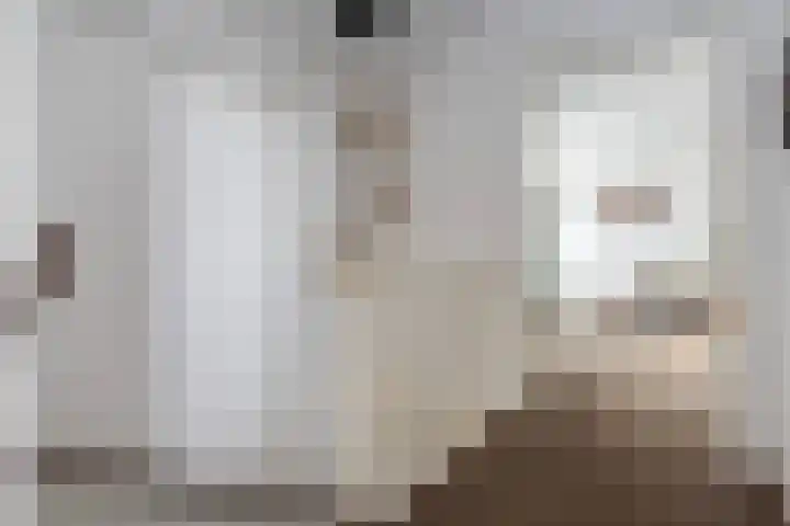 Mattenbies 29 Zwolle thumbnail 20