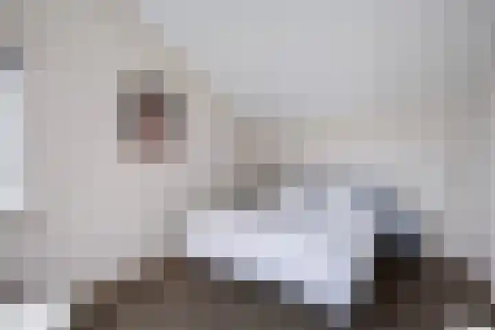 Mattenbies 29 Zwolle thumbnail 21