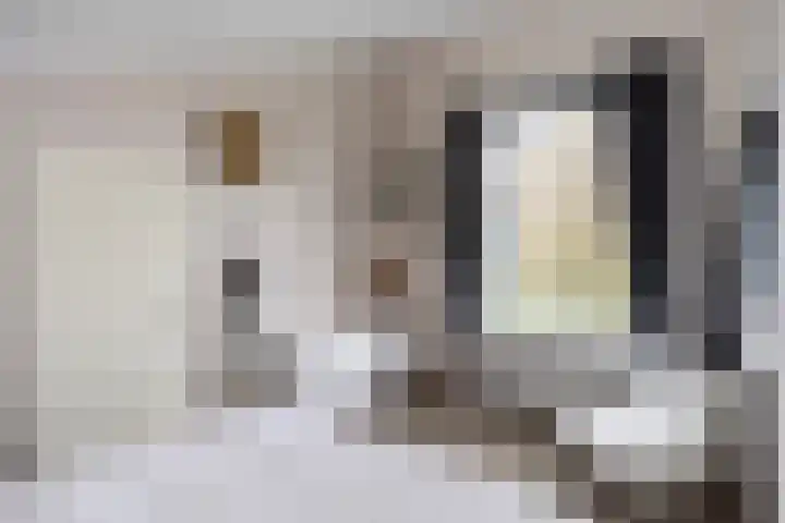 Mattenbies 29 Zwolle thumbnail 22