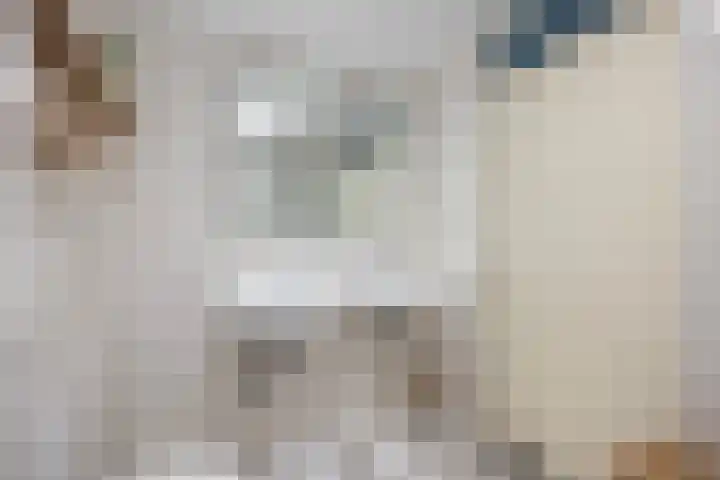 Mattenbies 29 Zwolle thumbnail 25