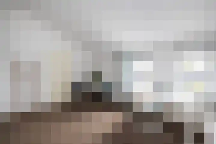 Mattenbies 29 Zwolle thumbnail 27