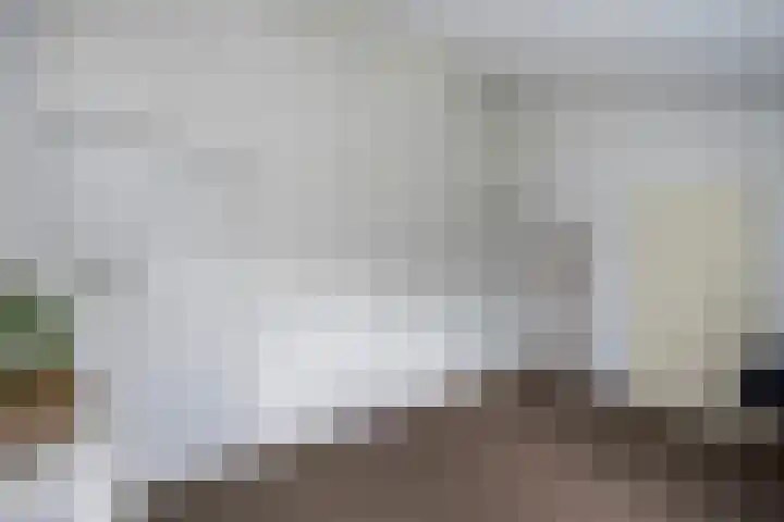 Mattenbies 29 Zwolle thumbnail 28