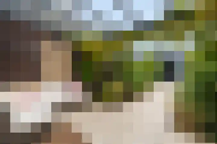 Mattenbies 29 Zwolle thumbnail 29