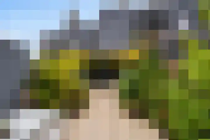 Mattenbies 29 Zwolle thumbnail 30
