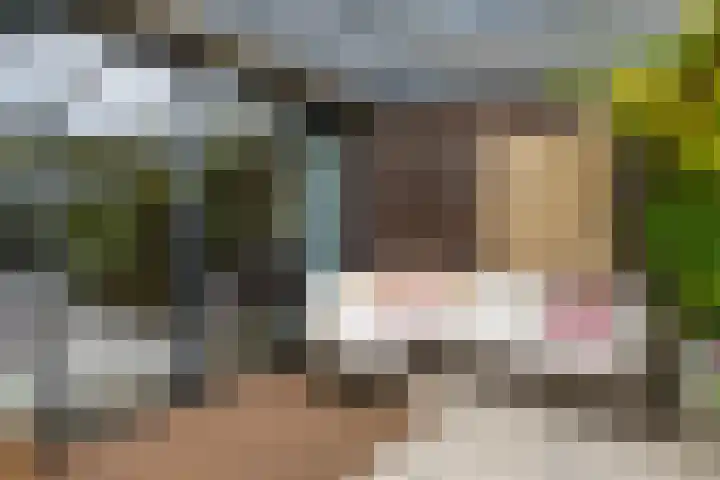 Mattenbies 29 Zwolle thumbnail 31