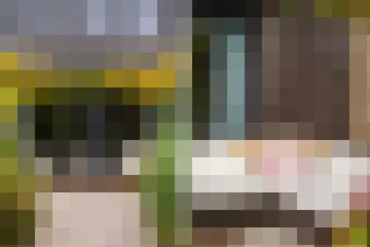Mattenbies 29 Zwolle thumbnail 32