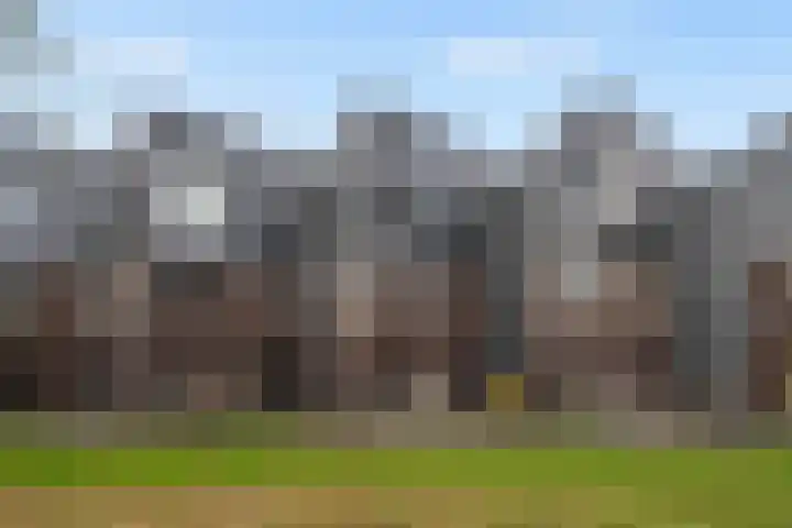 Mattenbies 29 Zwolle thumbnail 33
