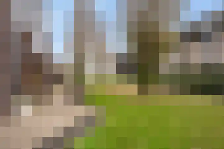 Mattenbies 29 Zwolle thumbnail 35