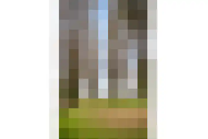 Mattenbies 29 Zwolle thumbnail 37