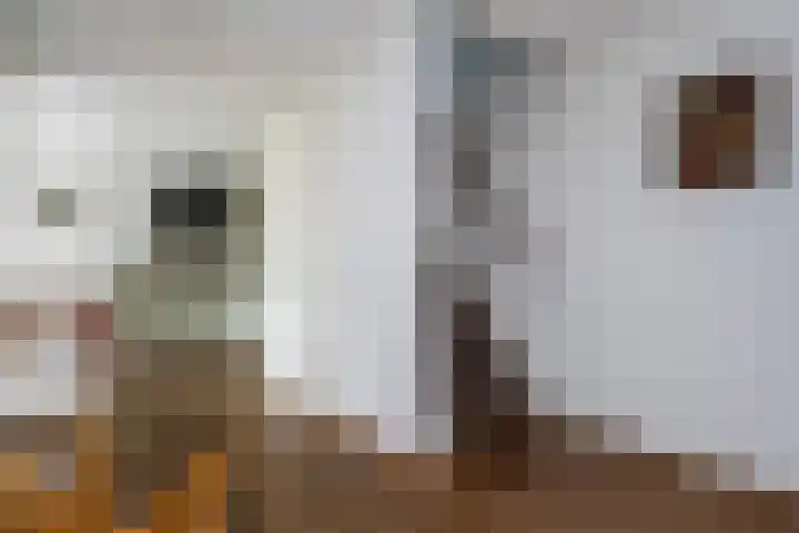 Mattenbies 29 Zwolle thumbnail 4