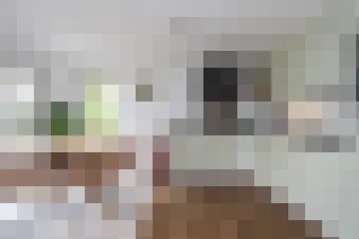Mattenbies 29 Zwolle thumbnail 5