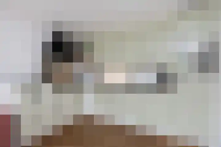 Mattenbies 29 Zwolle thumbnail 6