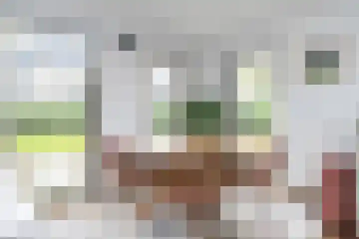Mattenbies 29 Zwolle thumbnail 8
