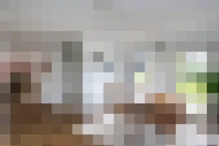 Mattenbies 29 Zwolle thumbnail 9