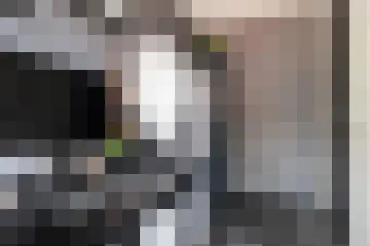 Mattenbies 8 Amersfoort thumbnail 11