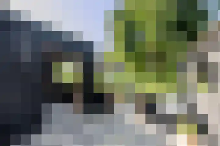 Mattenbies 8 Amersfoort thumbnail 14