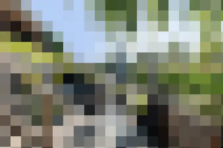 Mattenbies 8 Amersfoort thumbnail 16
