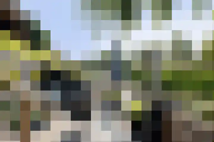 Mattenbies 8 Amersfoort thumbnail 17