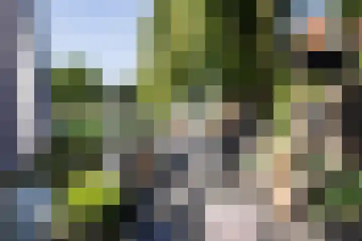 Mattenbies 8 Amersfoort thumbnail 18